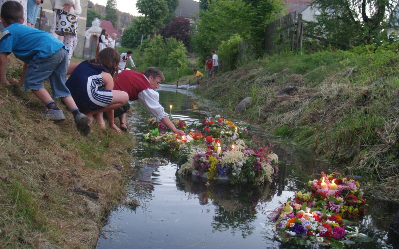 Leśny tor lub zjeżdżalnia wśród drzew